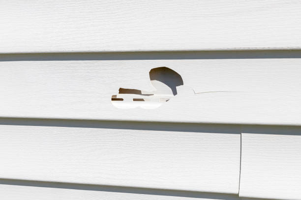 How To Choose The Right Materials for Your Siding Installation in 'Shackle Island, TN