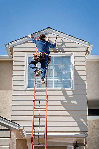 Trusted Shackle Island, TN Siding Services Experts